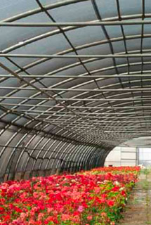 GRP corrugated rolls for greenhouses - ELYPLAST