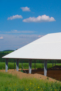 GRP sheets and rolls for agricultural buildings - ELYPLAST